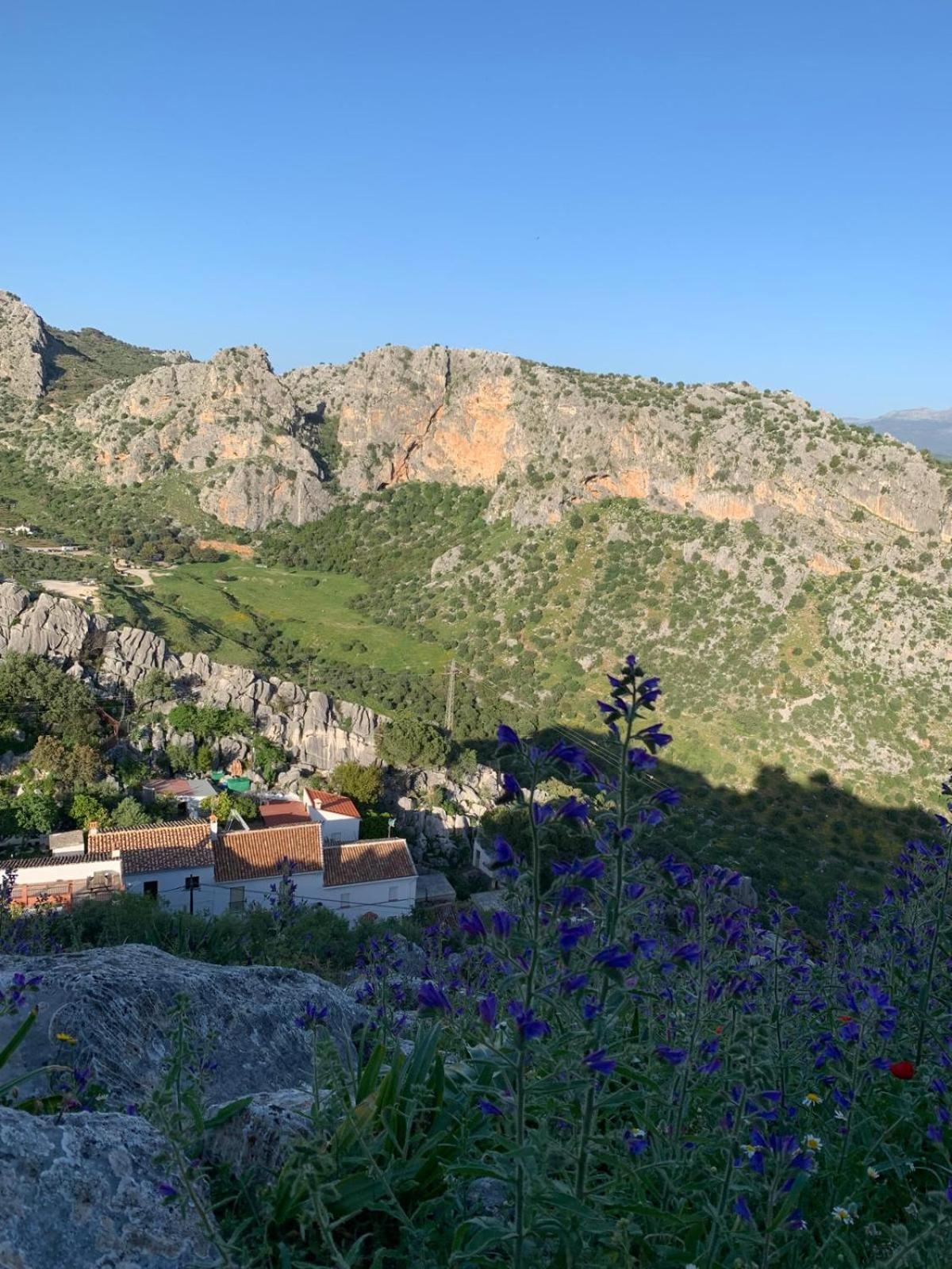Casa Del Portillete مونتيخاكي المظهر الخارجي الصورة